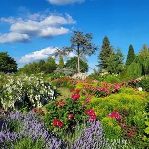 Meet your Posher, Viktoria